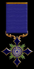 Imperial Republic Navy Cross