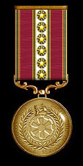 Imperial Republic Service Medal - 5 Years