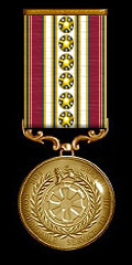 Imperial Republic Service Medal - 6 Years