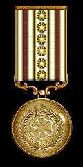 Imperial Republic Service Medal - 7 Years