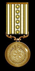 Imperial Republic Service Medal - 8 Years