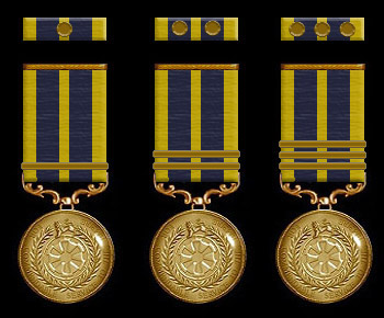 Multiple Awards Ribbon Examples